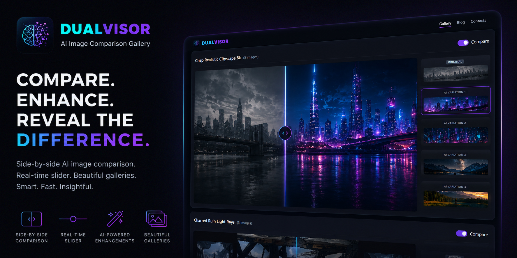 DualVisor Banner